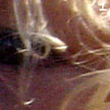 foto casuale scelta dal mio blogfoto; clicca per vederne altre